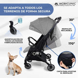 SILLA DE PASEO TRIP GRIS de 0-36 meses